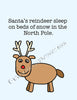 Christmas 012